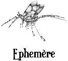 L'éphémère